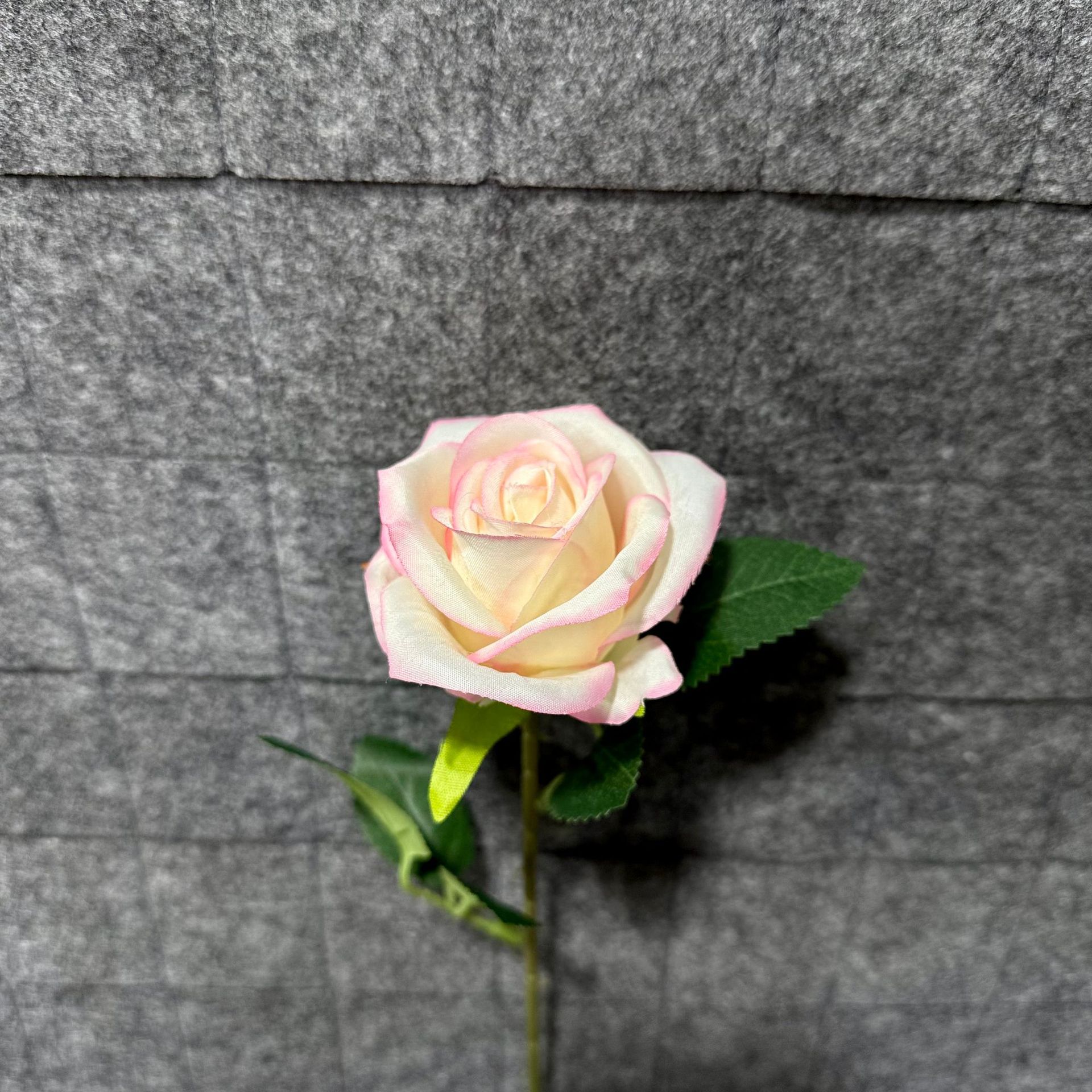 그라데이션 파우더