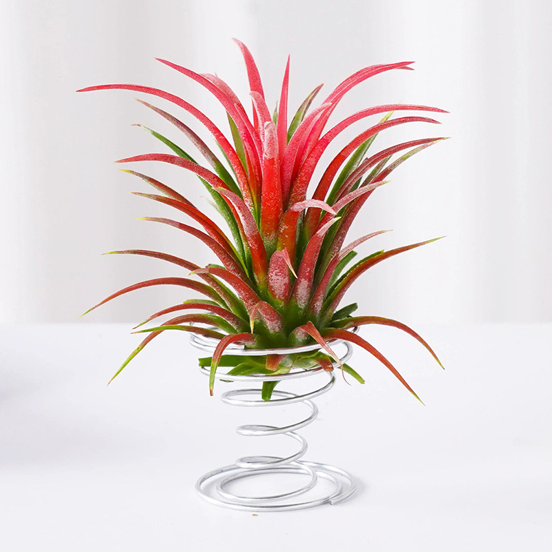 05ba139b-d4c2-4bdf-bff5-cb80ff865fe9.jpe