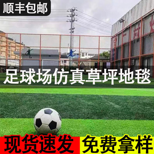 ������ٲ�Ƥ�؉|����ͥԺ�̨��픾Gɫ����䁉|�˹��쾰�b�̺