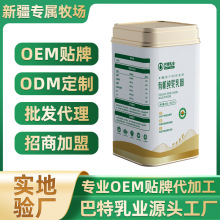 新疆驼乳粉招商纯骆驼奶粉批发成人中老年骆驼奶驼奶粉代理加盟