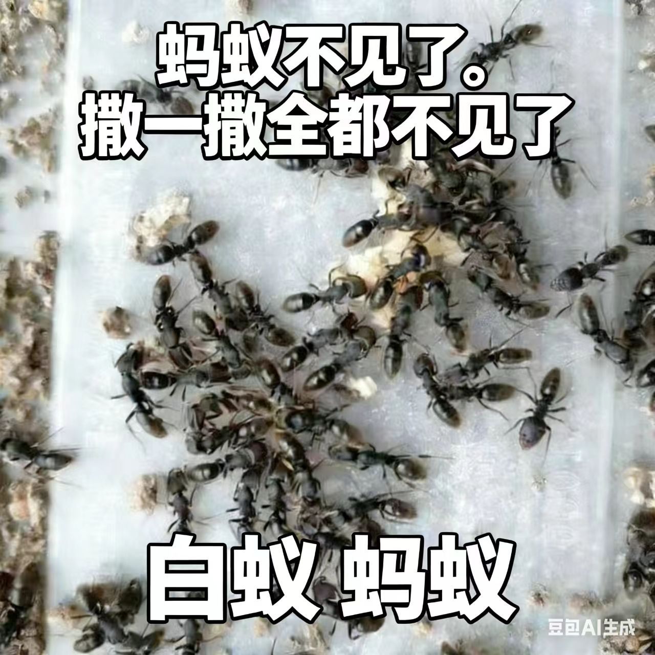 微信图片_202601262059261