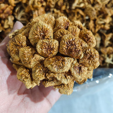 滑子菇古田特产干货批发滑子蘑滑菇珍珠菇干滑菇产地直销500g