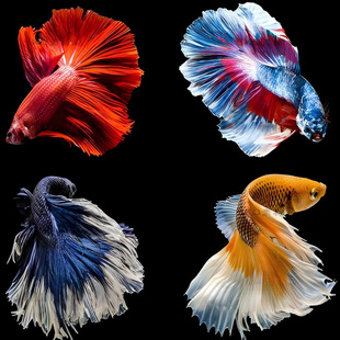 ̩�����~��܊�Rβ����{�����¹��ǹ��~�^�p�~���ﵭˮ�~�鼆