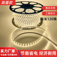 ✅led灯带2835软灯条5730灯带220v高压超亮户外防水批发工程照明
