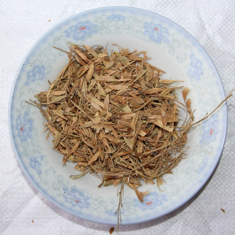 Большое количество оптовых новых массовых сусальное золото лист клена техника озеленение саженцев хорошего размера