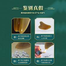 �S�����l��ˮţ�ǹ�����沿���݌��ù�Ę��ܽ��Ę���۲�ȫ��ͨ