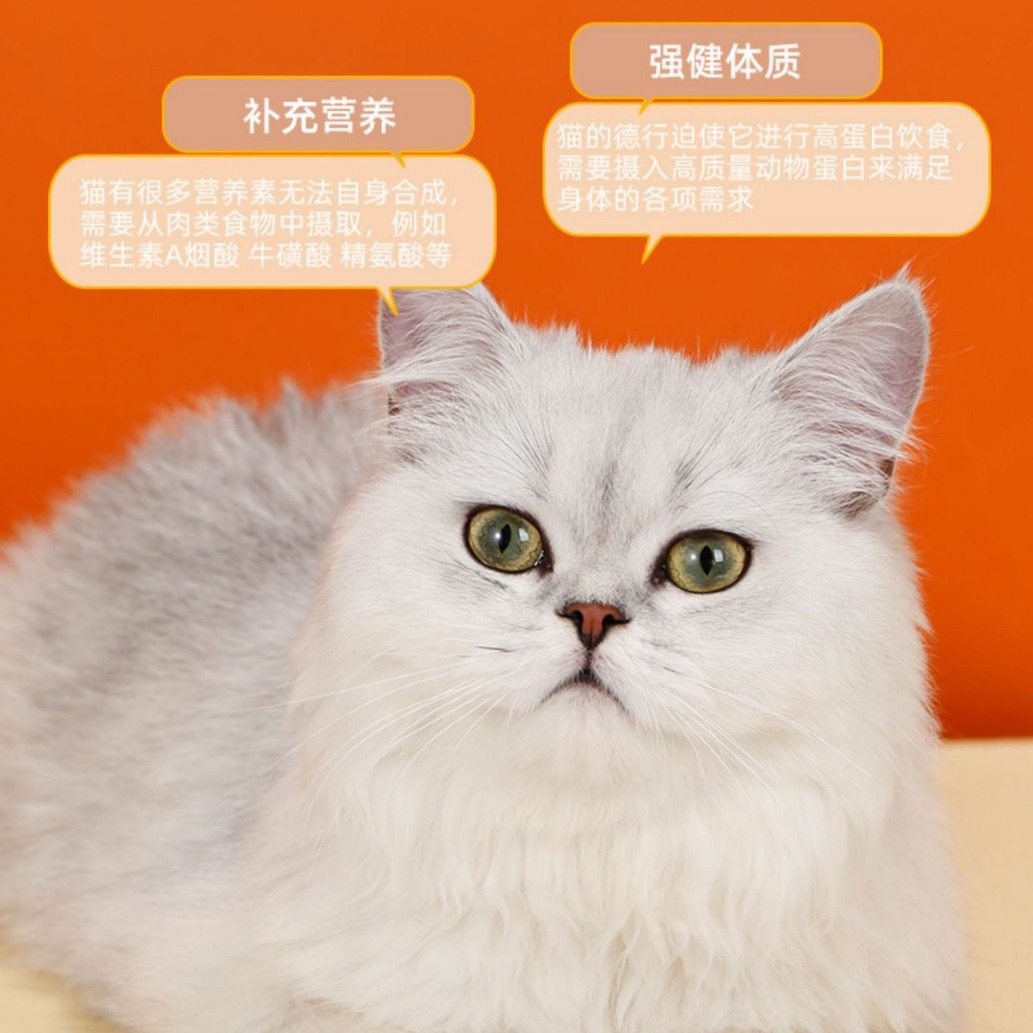 Granos de pollo liofilizado Aperitivos para gatos Pechuga de pollo Huevo de codorniz Pescado pequeño seco para aumentar la grasa y la nutrición