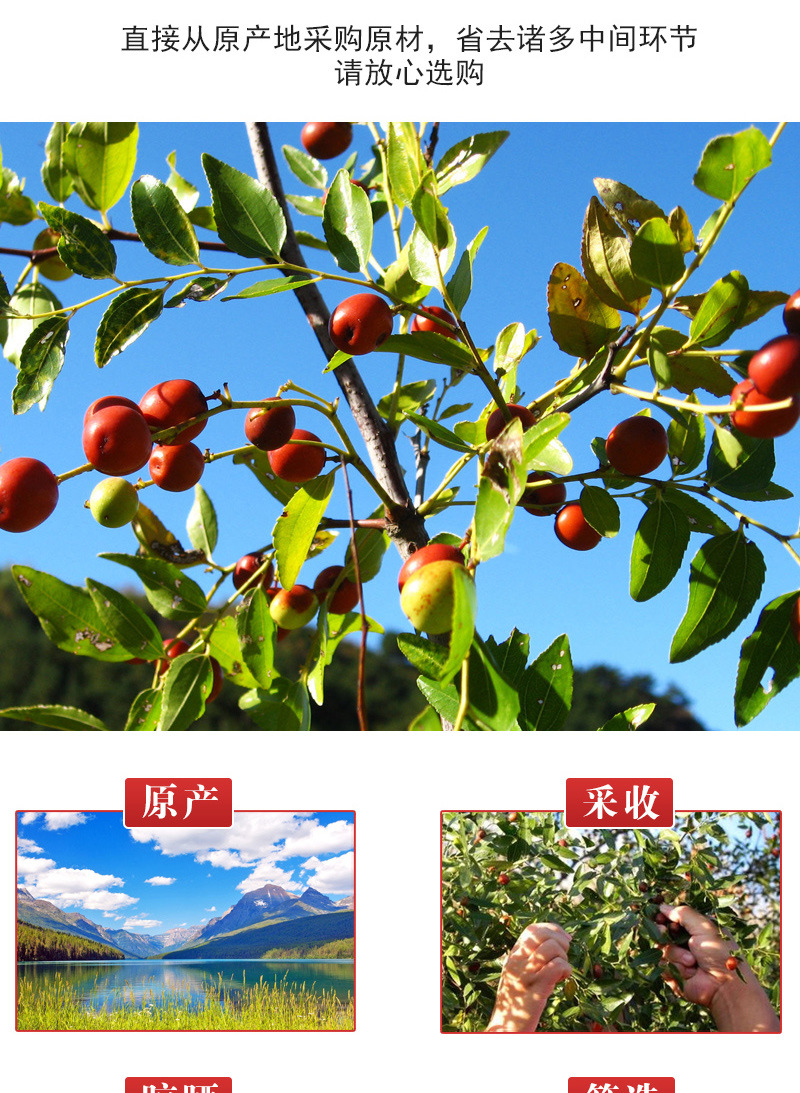 Suan Zao Ren (Ziziphus jujuba var. spinosa) — Dry-Fried Wild Jujube Seed, 500g quality and texture