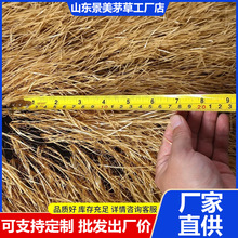 ��̺ʽé�������r�Ҙ��l��ƽ��픾��^�����b���ٵ��ݾ������l