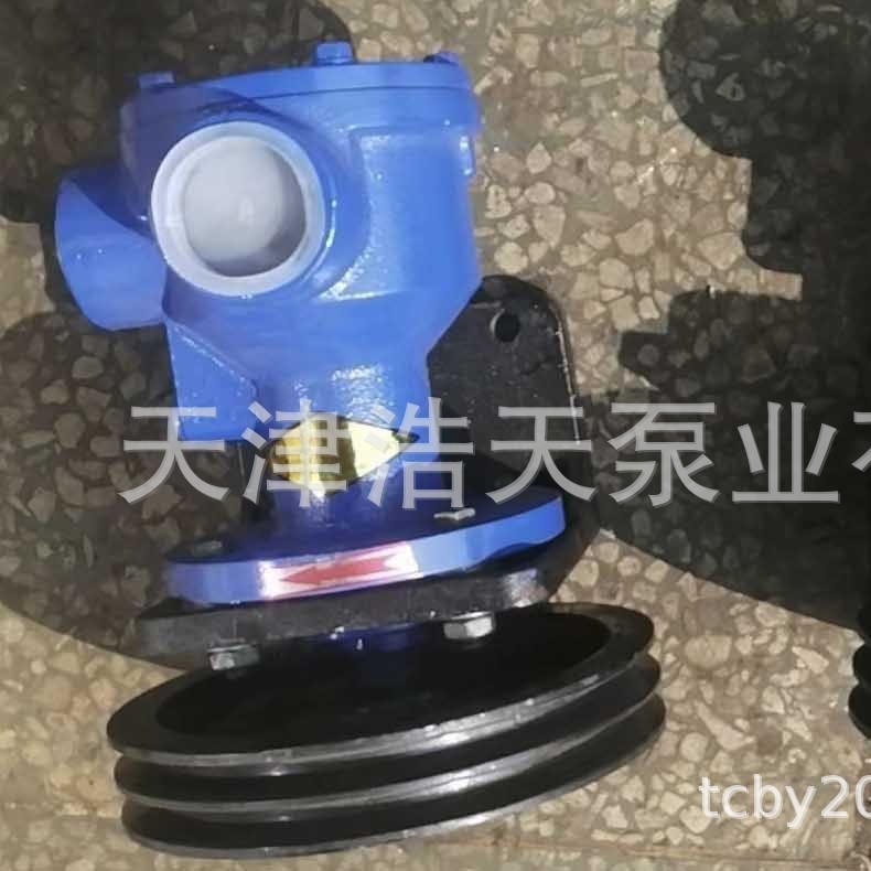 皮带转子泵TDNP 胶水 聚氨酯 稠油 粘油 柴油 沥青 树脂转子泵