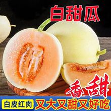 �Fժ���ڼt������S���^����Ϯ������rˮ������۹��������l