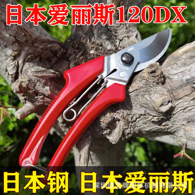 爱丽斯120DX剪刀修枝剪家用修花进口果树粗枝剪省力园艺剪枝剪刀