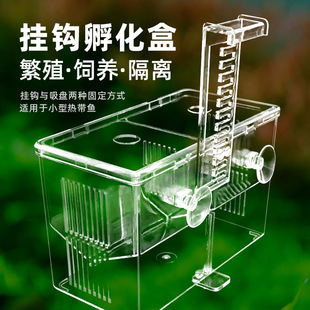 Hook-type peacock breeding box fish tank incubator isolation box tropical fish spawning incubation delivery room fish fry young fish