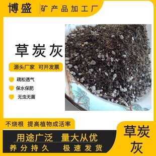 �����l�͸����ЙC�I�B�� �B���N���m������������ ���|�Nֲ��̿��