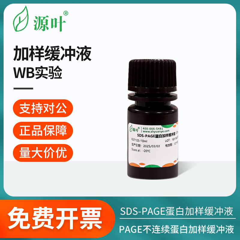 源叶加样缓冲液体SDS-PAGE蛋白/PAGE不连续蛋白/甘油加样缓冲液