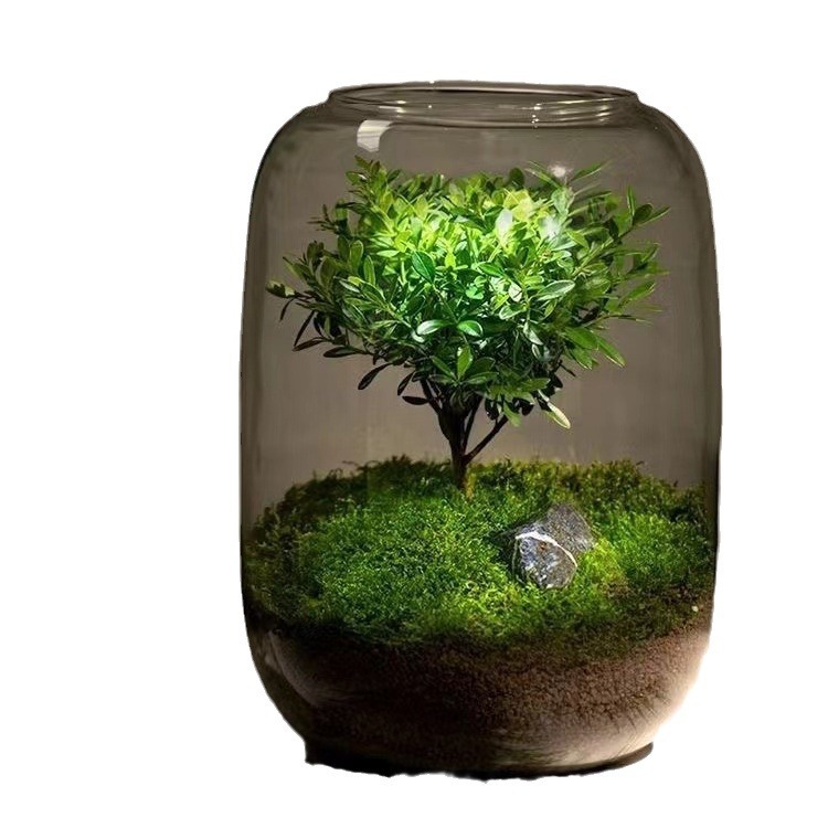 Tanque de vidrio redondo creativo mesa transparente engrosado acuario de peces dorados sala de estar micro paisaje árbol de vida botella ecológica