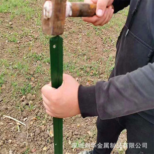 ţ�ھW������Y���T���������^�����m�W�F�z�W֧�ΗU