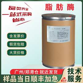 现货直发 脂肪酶 食品级脂肪酶 10万酶活力 酶制剂