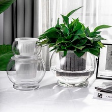 水培綠蘿帶底透明玻璃花瓶魚缸圓球水養植物桌面擺件D球生態瓶