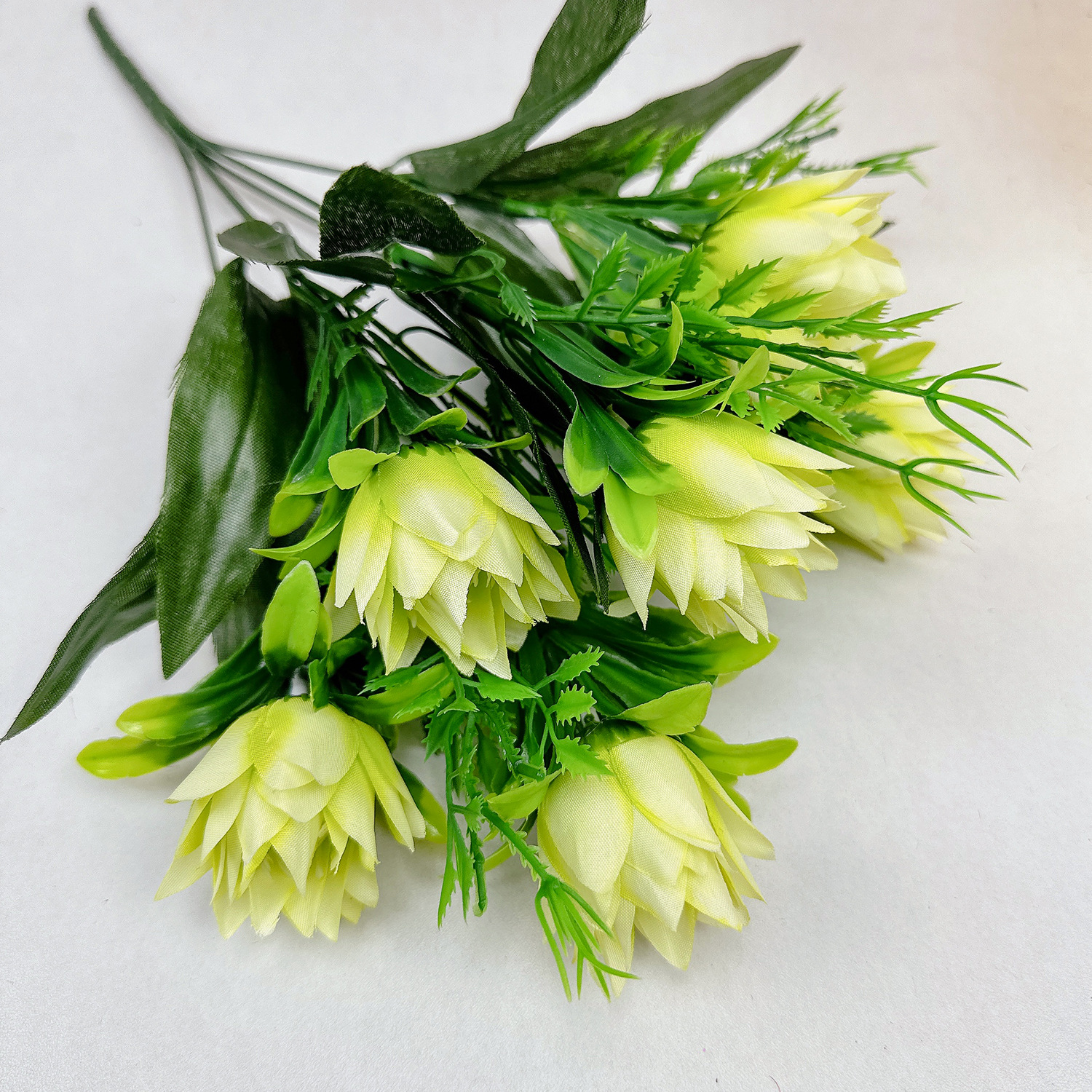 6 cabezas de piña verde claro 1 manojo