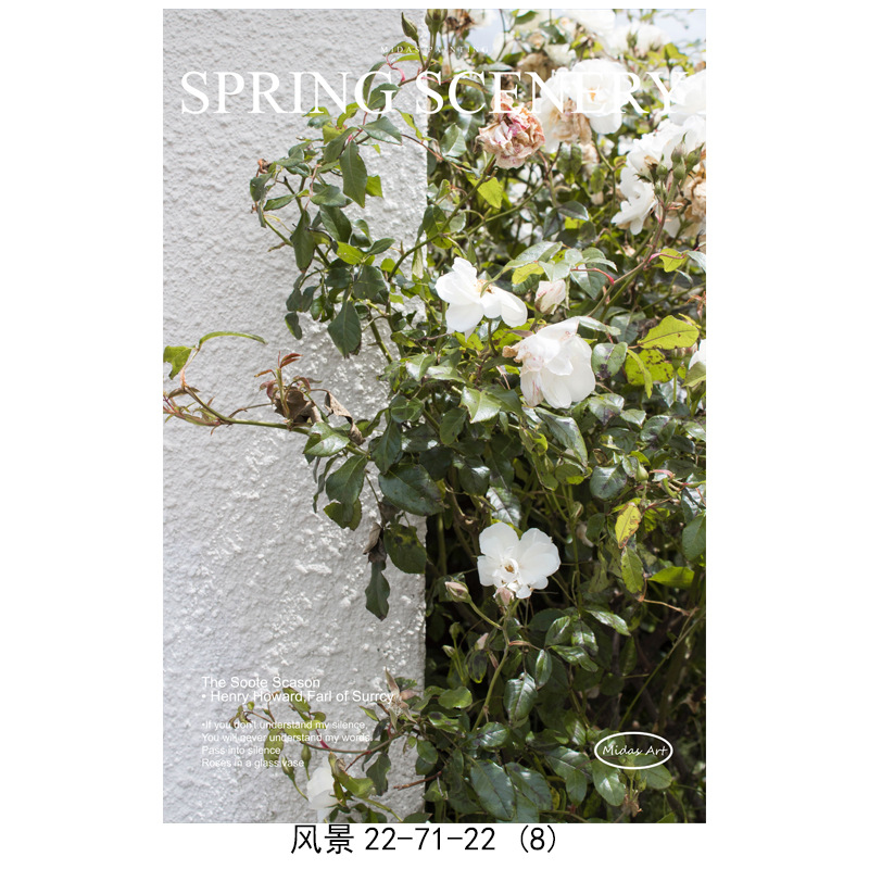 4 / 13*18cm (toile seulement)