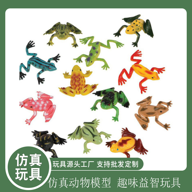 animal model