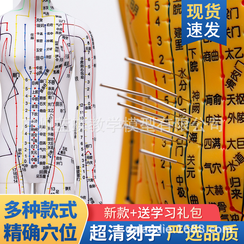 52CM ���������徭��Ѩλģ�� ���ͭɫ������ζʮ�ľ�����Ůģ��