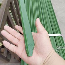 �ɶ����T�F���ǌ�����ţ�ھW�F�z�W�����^���Bֳ������β�����K��