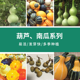 �^�p���J�����JѾѾ���J����С��ˇ�CȾ���J�^�p�ϹϺ��J����ֲ��