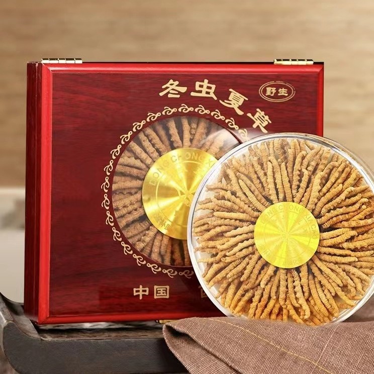 Cordyceps Sinensis Dong Chong Xia Cao Whole Dried Caterpillar Fungus Gift Box 60 Pieces Culinary Herbal Tonic overview