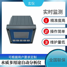 水质在线氯离子监测仪工业污水氯化物自动分析仪废水仪在线监测