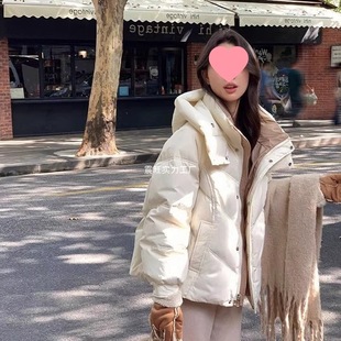 �Ӻ񶬼�2025�¿���q�޷��������С�������\��������֥��ڻҳ�
