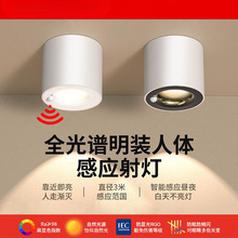 ���b���w�Б������������^����������P���ǵ�Ͳ���t�⾀������