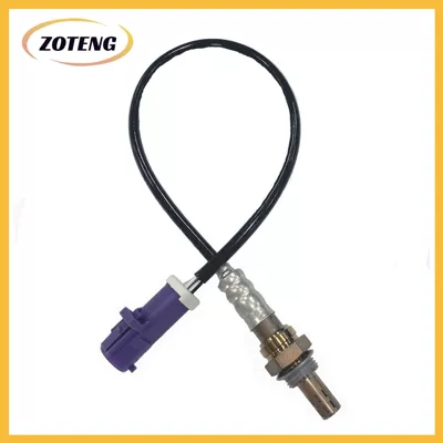 Cross-Border Automotive, Automotive Sensors