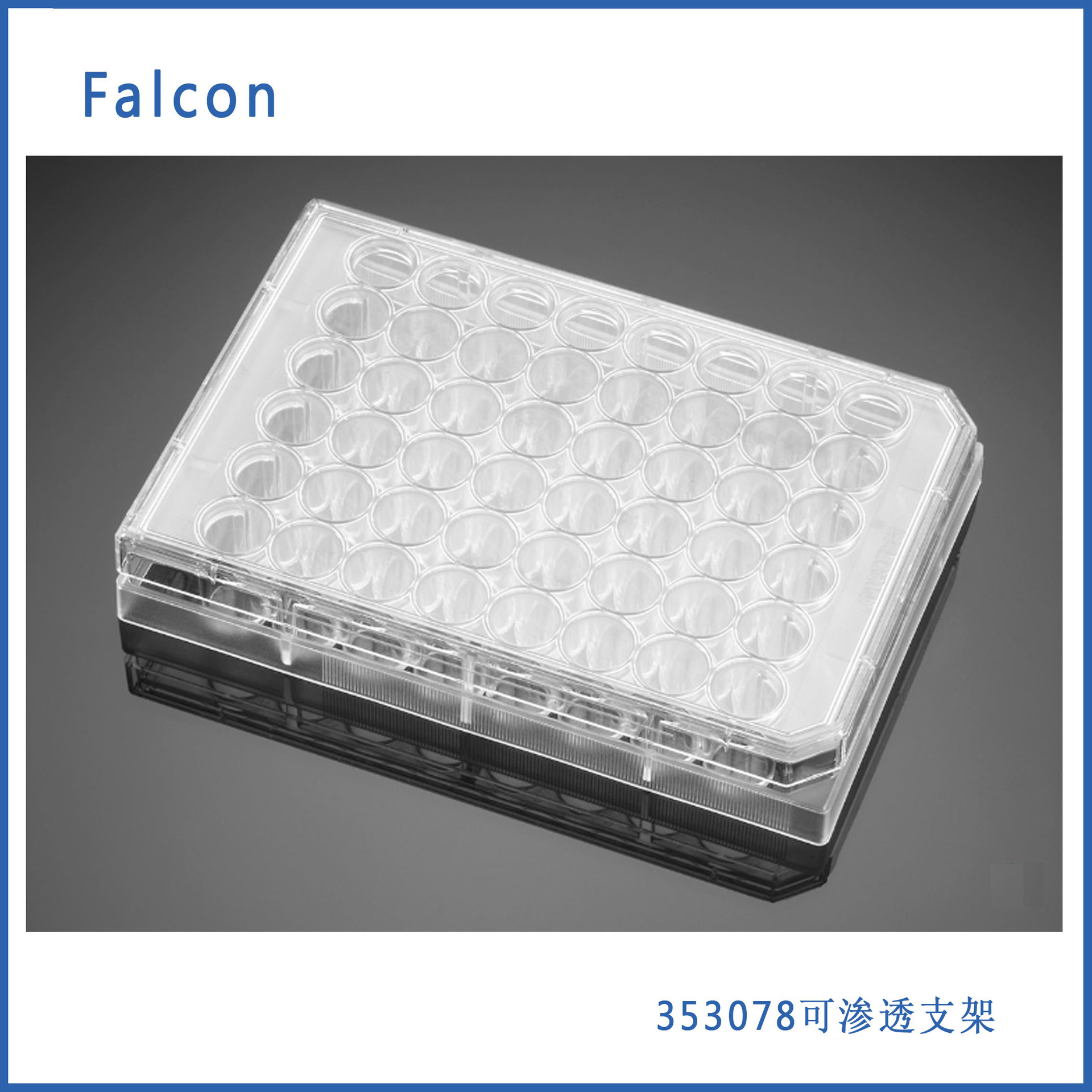 Falcon 353078 48孔透明平底TC处理细胞培养板， 带盖，单独包装