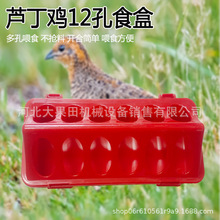 芦丁鸡料盒食槽鸽子放抢食喂料器小鸡槽子鹌鹑育雏喂食饲料盒