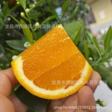 �~�ɠ�Ě��3/5/9���bե֭���rˮ�����wĚ�ȳ��Ӯa��ֱ�N���]