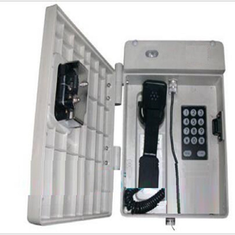 传呼型特种电话机 型号:CY24-HAT86(XII)P/T-D库号：M393527