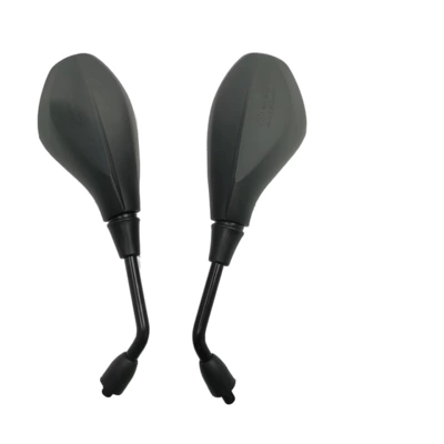 motorcycle Qianjiang Blue Dragon BN300: Motorcycle rearview mirror