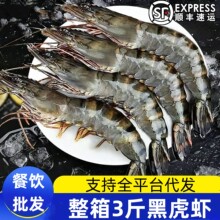 大号黑虎虾带冰3斤装海虾自助餐饮饭店商用海鲜水产批发代发顺丰