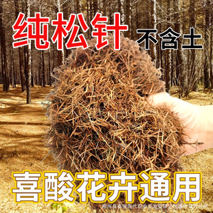 ?�����������I�B����ᘸ�ֳ������ͨ���ͼ���ᘸ�����������~