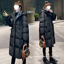 �S��ֱ�N2025�����¿��n����q���^ϥ��q�޷����L����Bñ�Ӻ�