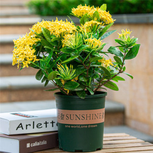 ���������Ԏ����ļ��_���҃��̨ͥԺ�^�p���ܾGֲ���ͺ��ͺ����B