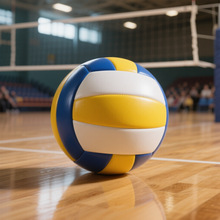 中考排球青少年高中生学生训练专用球男女玩具沙滩比赛初三