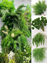 ?�¿��c�Gֲ���Ļ�Y�����廨ˇ�J����ɭϵ�G�~�ٻ��쾰�b