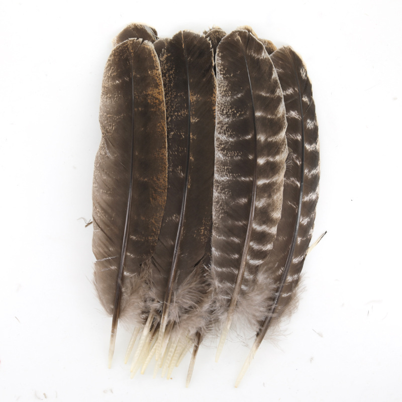 Fábrica al por mayor de bricolaje plumas pequeñas plumas naturales plumas de pollo salvaje plumas de pato jardín de infantes joyas hechas a mano gato divertido material de captura de sueños