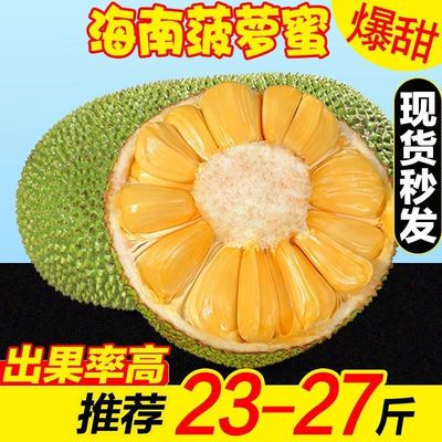海南黄肉菠萝蜜热带新鲜水果浓香脆甜原产地一整个批发直发包邮批发