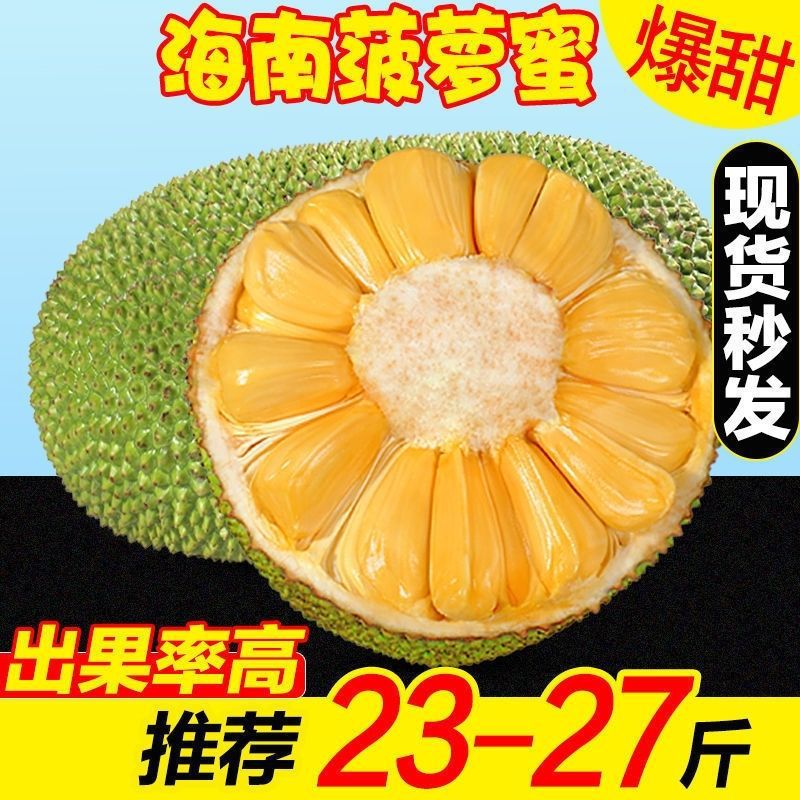 海南黄肉菠萝蜜热带新鲜水果浓香脆甜原产地一整个批发直发包邮批发