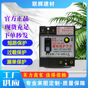 Zhujiang Leakage Protection Switch, Leakage Protector, Short Circuit Overload Protector, Intelligent