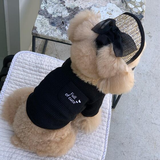 INS South Korea French Lace Straw Sun Hat Dog Pet Cat Pet Rope Pig Nose Button Adjusting Hat